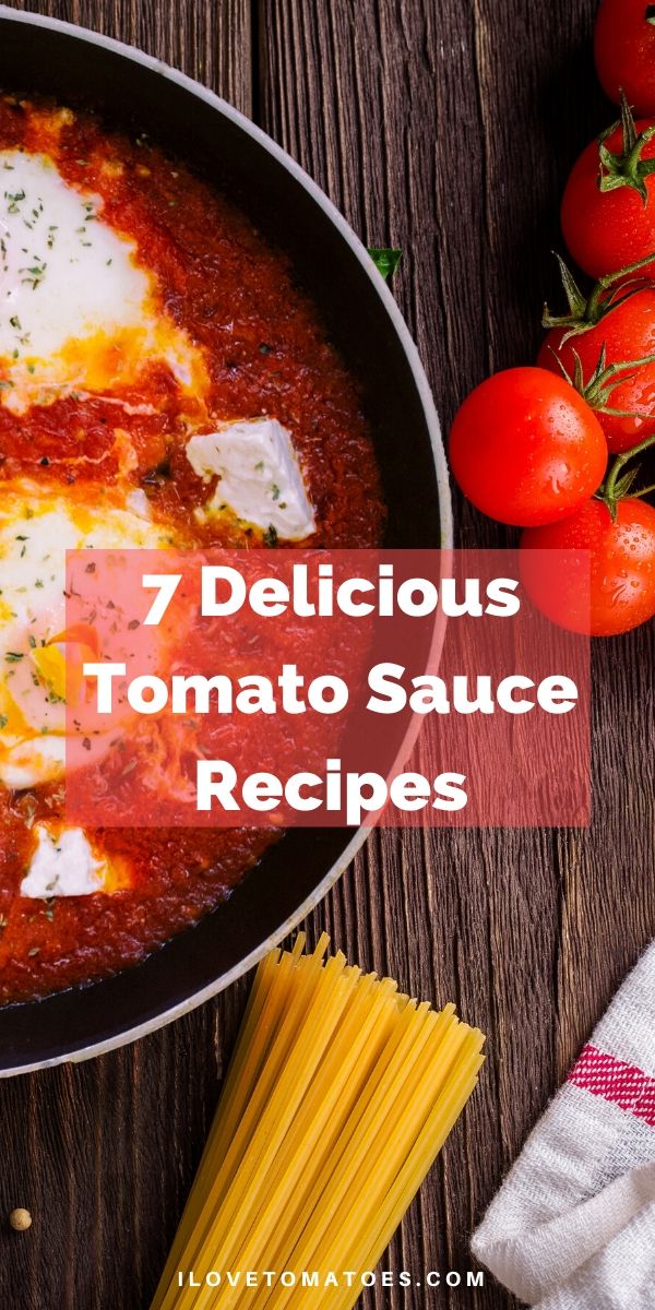 Delicious Tomato Sauce Recipes