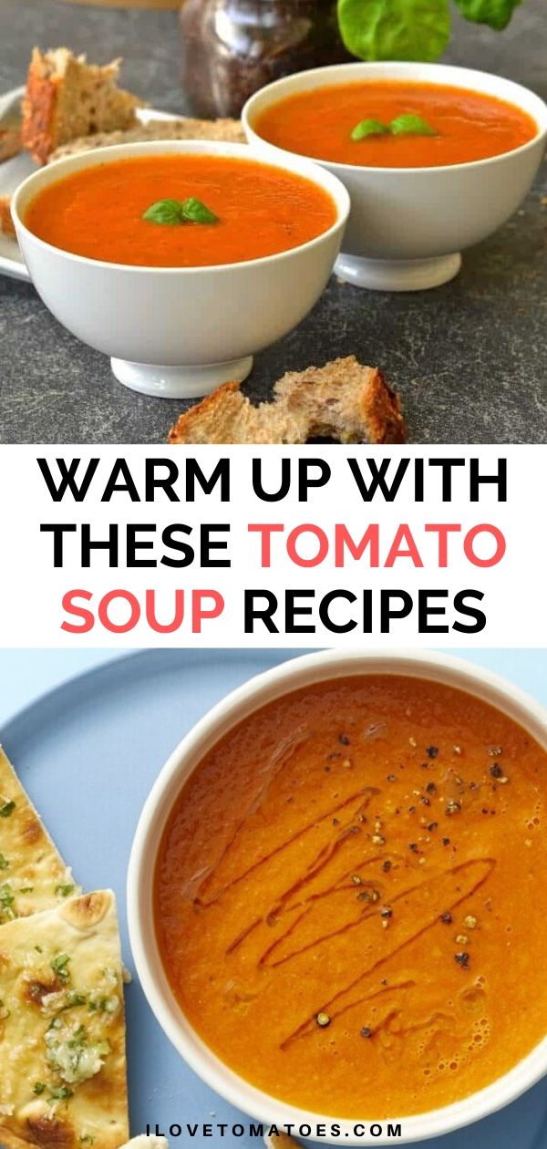 Tomato Soup Pin