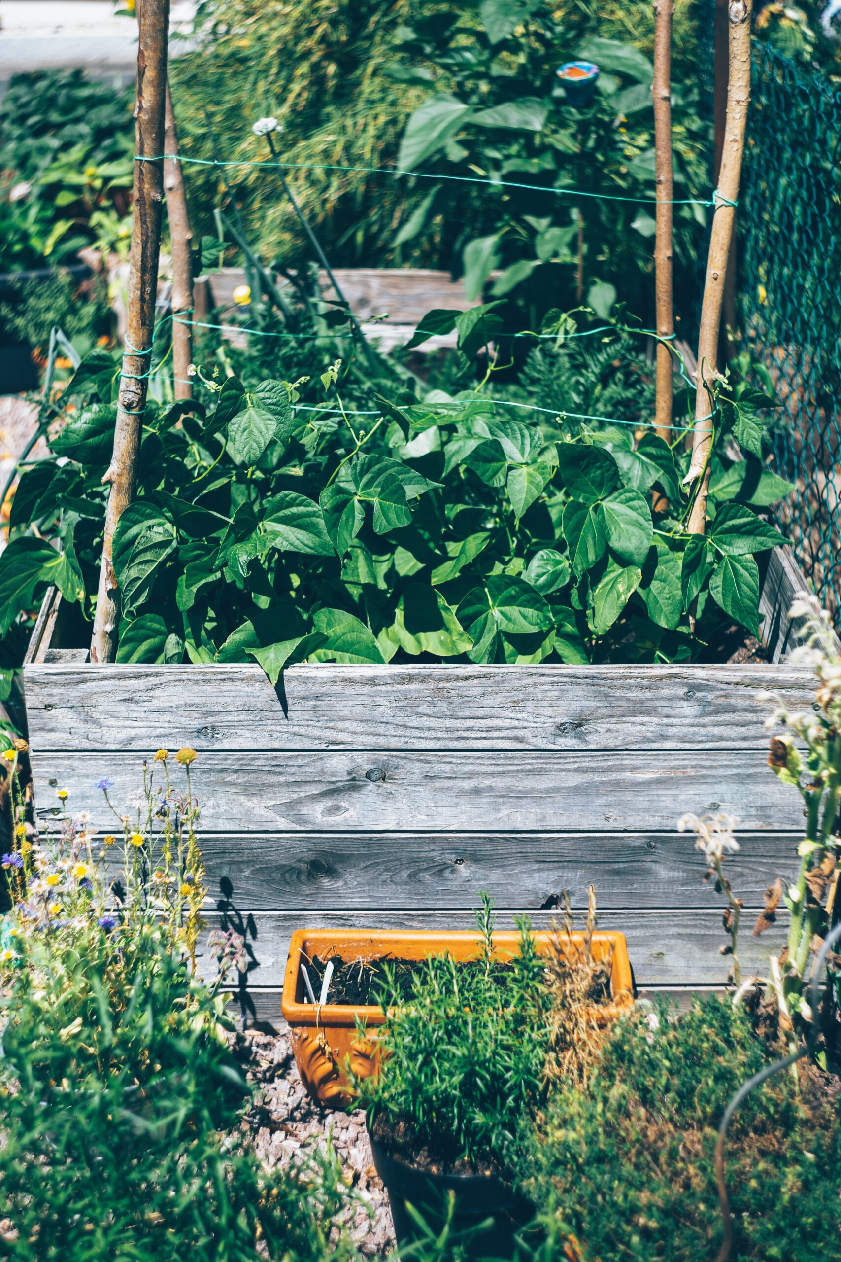 patio planters