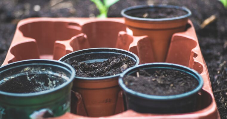 Tips To Improve Garden Soil For An Epic Tomato Harvest