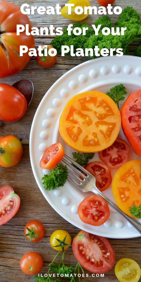 plate of tomatoes with post title in white font 