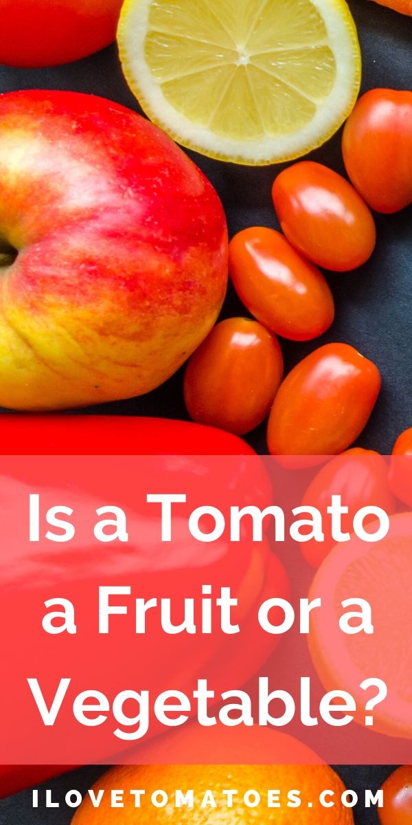 is a tomato a fruit or a vegetable