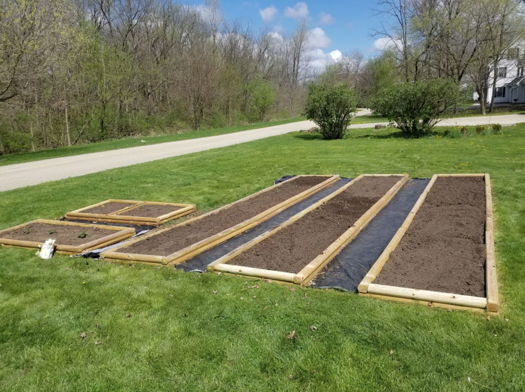 raised garden bed stock