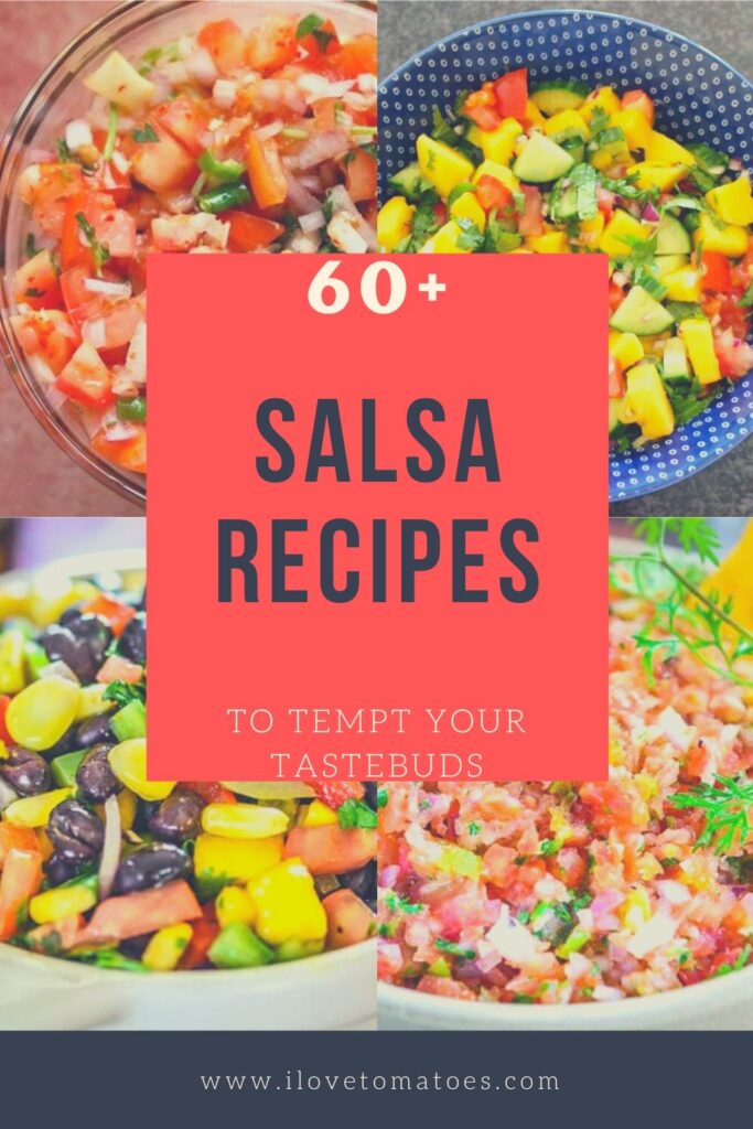 salsa recipes